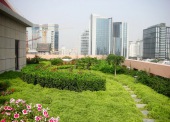 深圳屋頂綠化工程中草坪養護管理辦法
