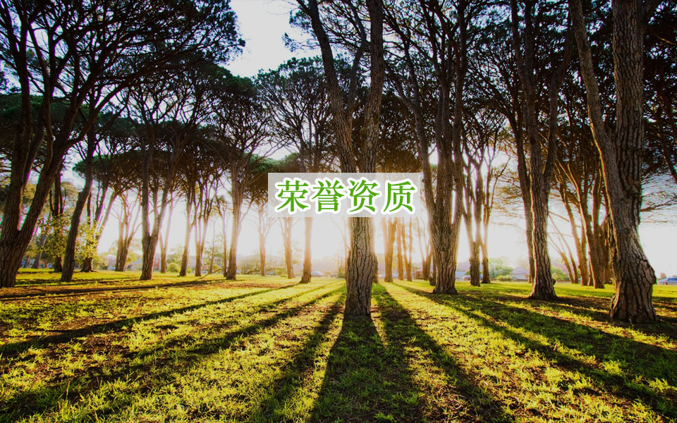 榮譽資質
