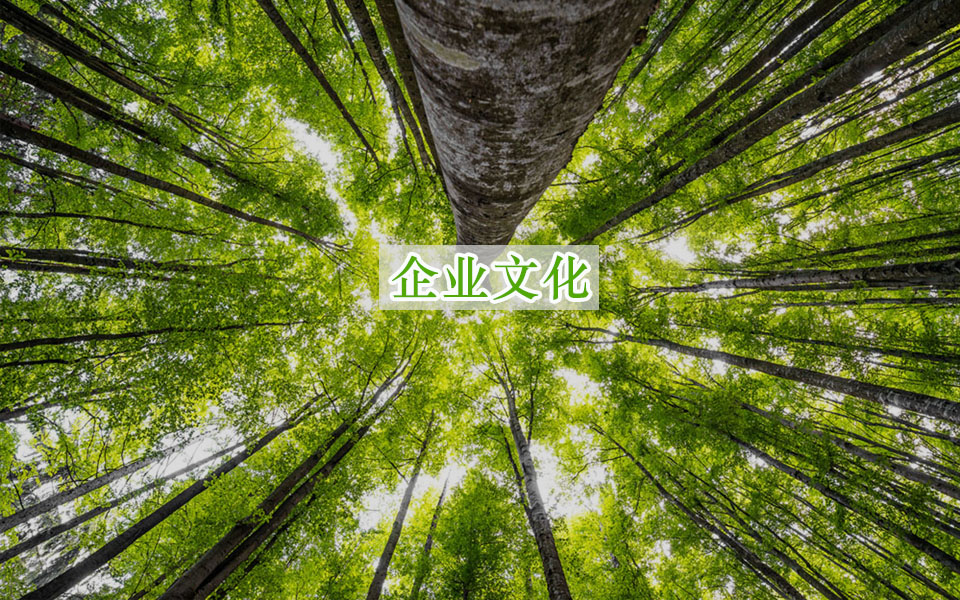 企業文化